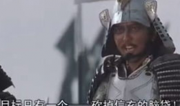武田信玄电视剧,战国风云中的霸者传奇
