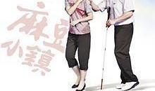 麻豆小镇 电视剧,青春梦想的田园诗篇