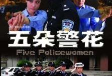 女警电视剧,守护正义的铿锵玫瑰