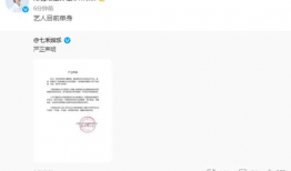 吃瓜爆料陈女士视频,揭秘娱乐圈惊人内幕