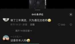 沈樵麻豆,探寻东方美学的独特魅力
