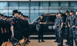 特警突击队电视剧全集,生死较量，忠诚守护
