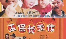 王保长电视剧,笑谈江湖，演绎民间传奇