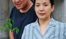 我想有个家电视剧全集,温馨家庭情感之旅