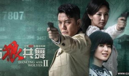 电视剧与狼共舞,草原传奇，民族交融的史诗画卷