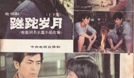 90年代电视剧大全集,90年代电视剧大全集回顾