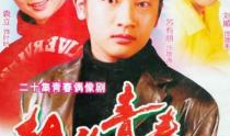 苏有朋的电视剧,苏有朋演绎的“五阿哥”传奇